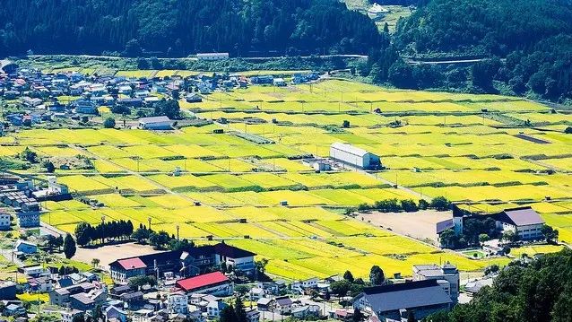 全日本最土豪的村子你知道在哪吗?